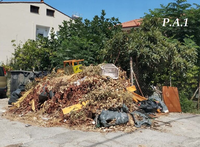 Χαλκίδα: 3,2 εκατ. για το Πάρκο Ελευθερίας, μήνες με σκουπίδια στην Παρνασσού και Οίτης